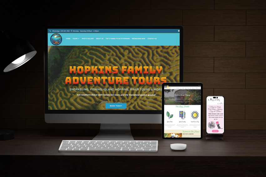 warm-reptile-designs-web-developer-virginia-winchester-basye-mt-jackson warm-reptile-designs-web-developer-virginia-winchester basye-mt-jackson